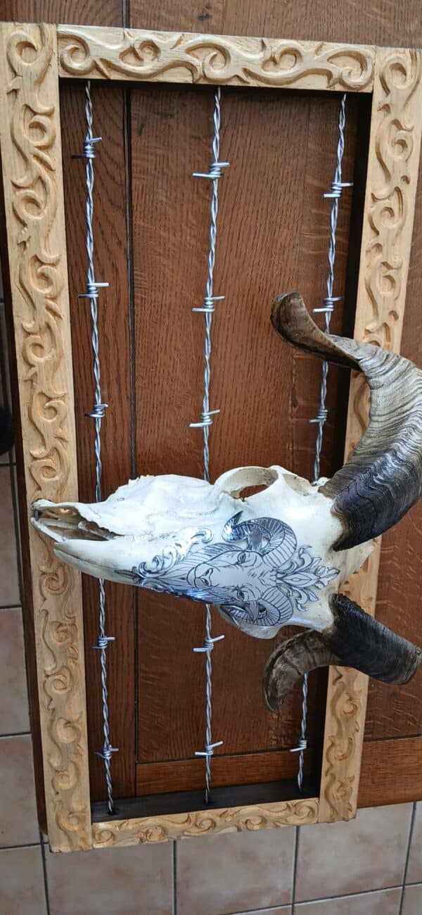 cadre deco crane de belier