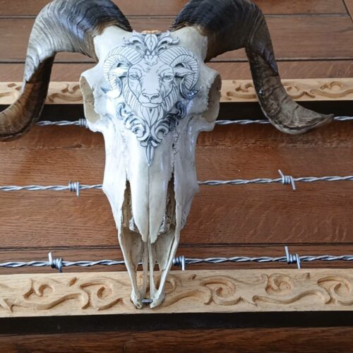 crane8 cadre deco crane de belier