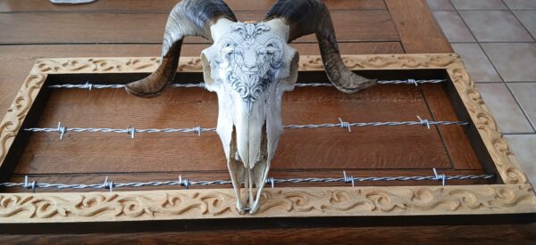 cadre deco crane de belier